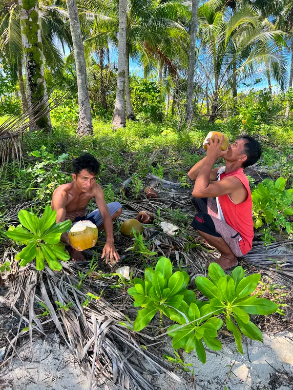 Rafraichissement à base de noix de coco